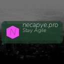 necapye.pro